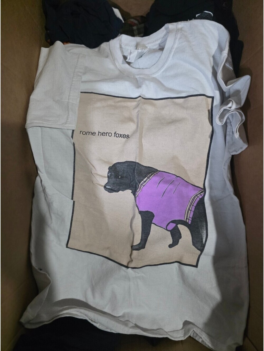 Rome Hero Foxes shirt Size Medium